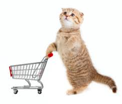 kitty with a cart car shopping