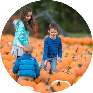 Three Children in a Field of Pumpkins