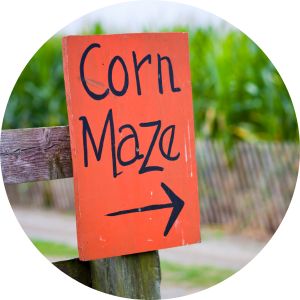 Orange Corn Maze Sign with Arrow